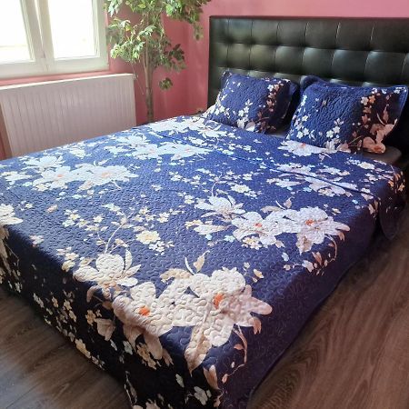 Right Choice Room Anvers Dış mekan fotoğraf